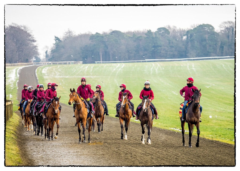 Michael Bell Racing Horses in Training