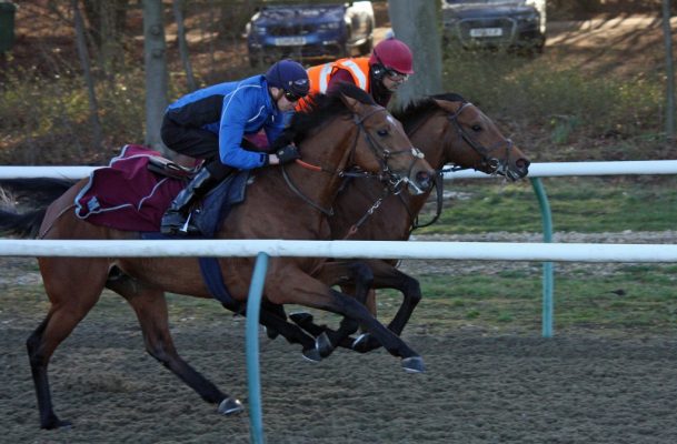 Emirates Empire (Blue Hat) and Thelonious